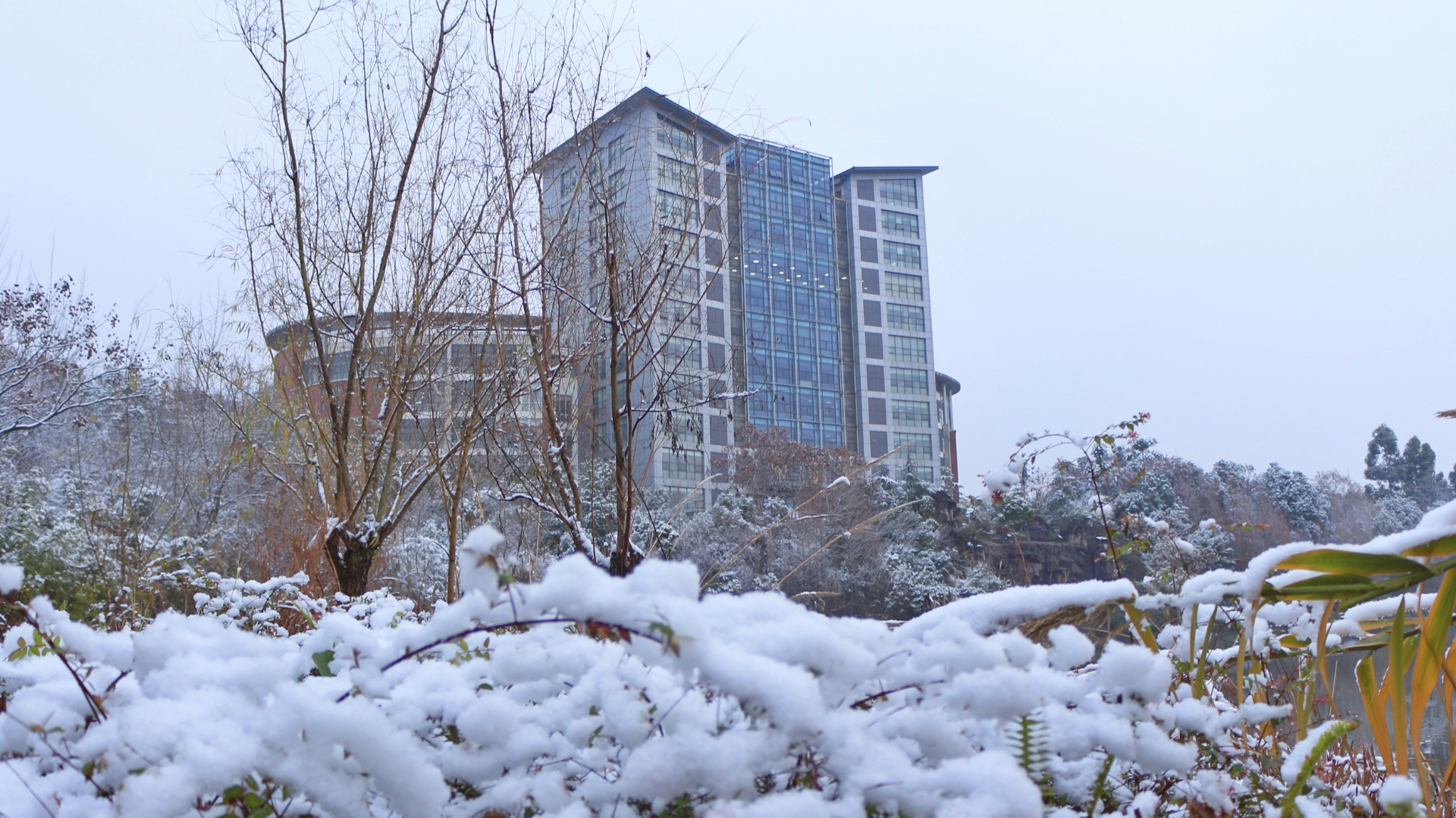 银装素裹的川Kaiyun体育官方全站入口